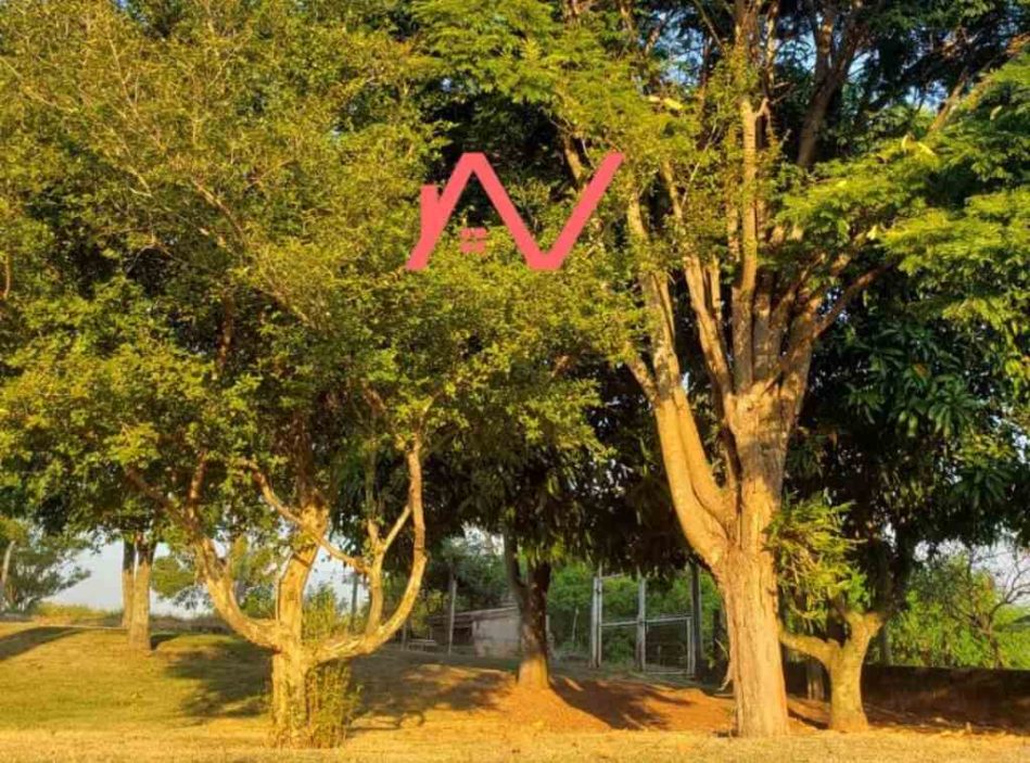 3_Easy-Resize.com