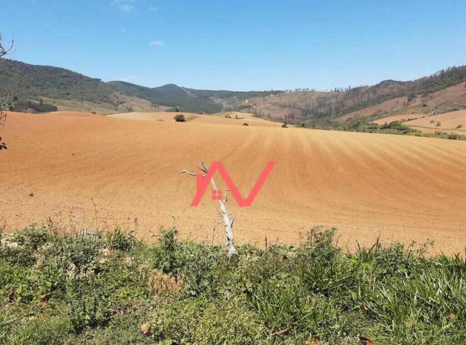 WhatsApp-Image-2021-07-27-at-10.03.22-8_Easy-Resize.com